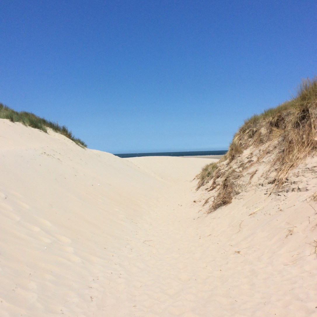 dunen-zeeland-2015-img_0955
