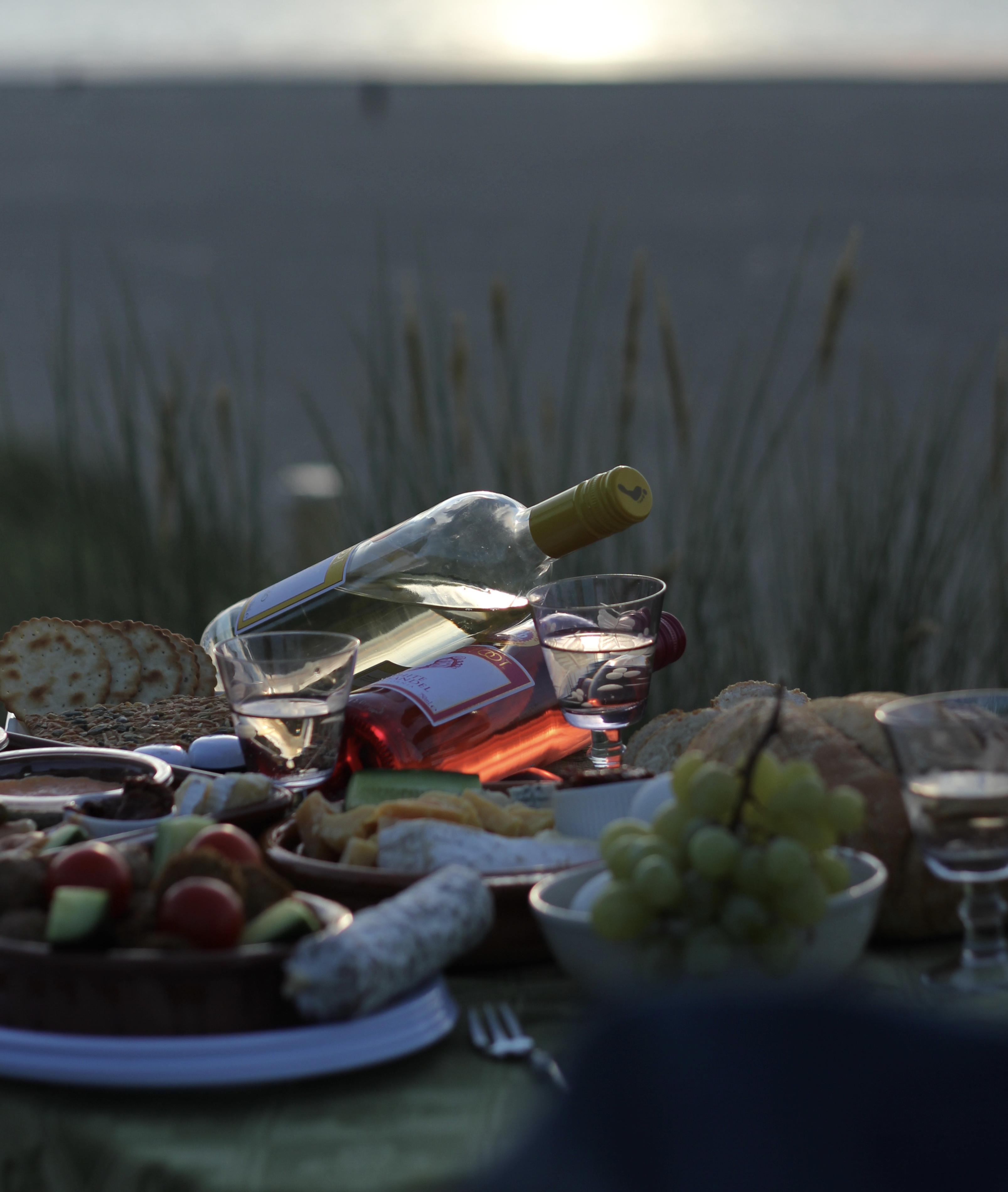 A8AF3E11-DFC0-499C-80EF-433CDFB27521